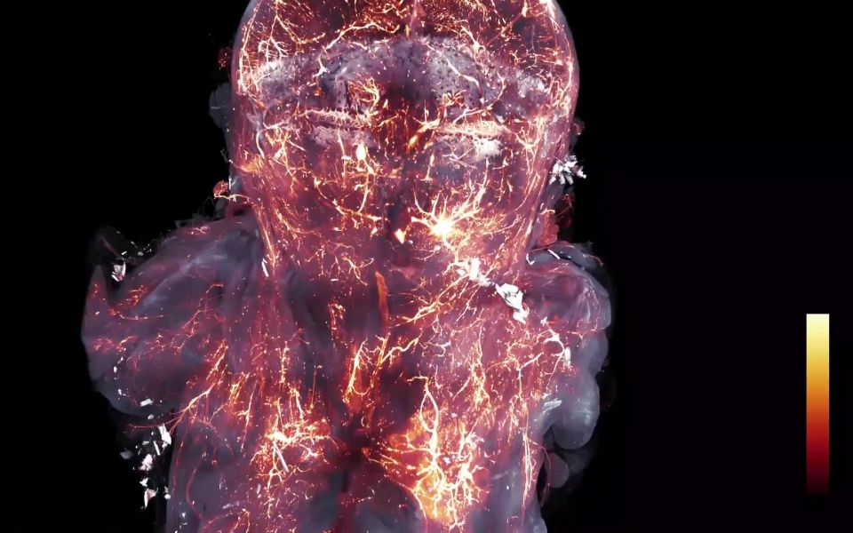 Az S1 fehérje eloszlása egy egér testében ​S1 fehérje intravénás beadása után