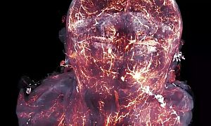 tüskefehérjék egy egér testében