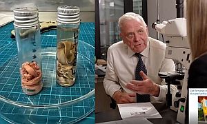 fehér rögök és Dr. Arne Burkhardt