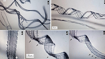 mesterséges struktúrák Covid elleni mRNS-oltásokban